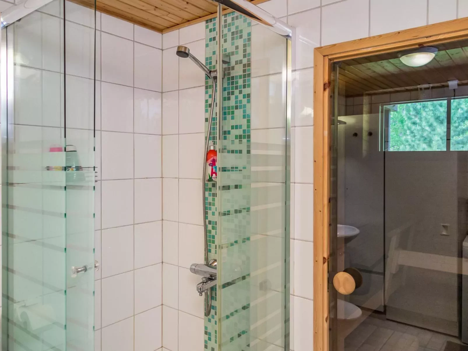 Alppitalo vihertähti 5 apt 2-Inside