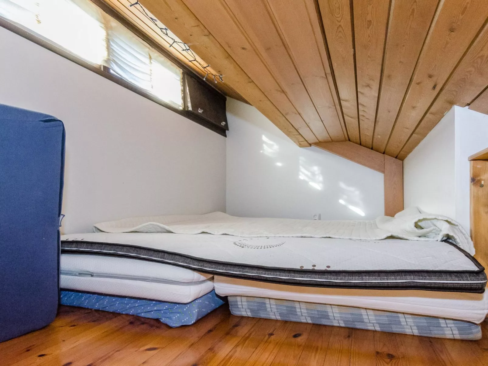 Säästöloma 5 c 10 by bomba-Inside