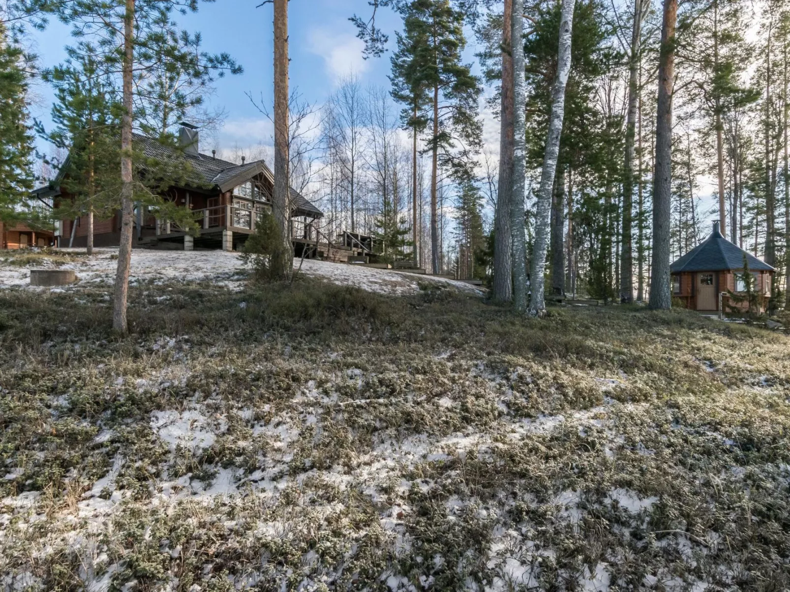 Puolen hehtaarin metsä-Outside