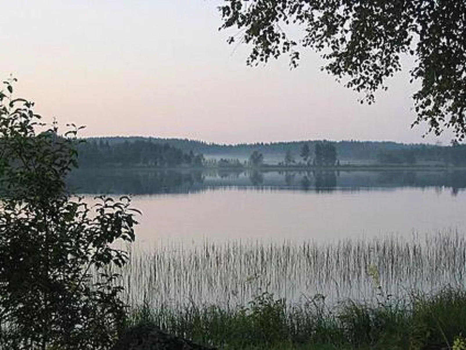 Villiruusu-Outside