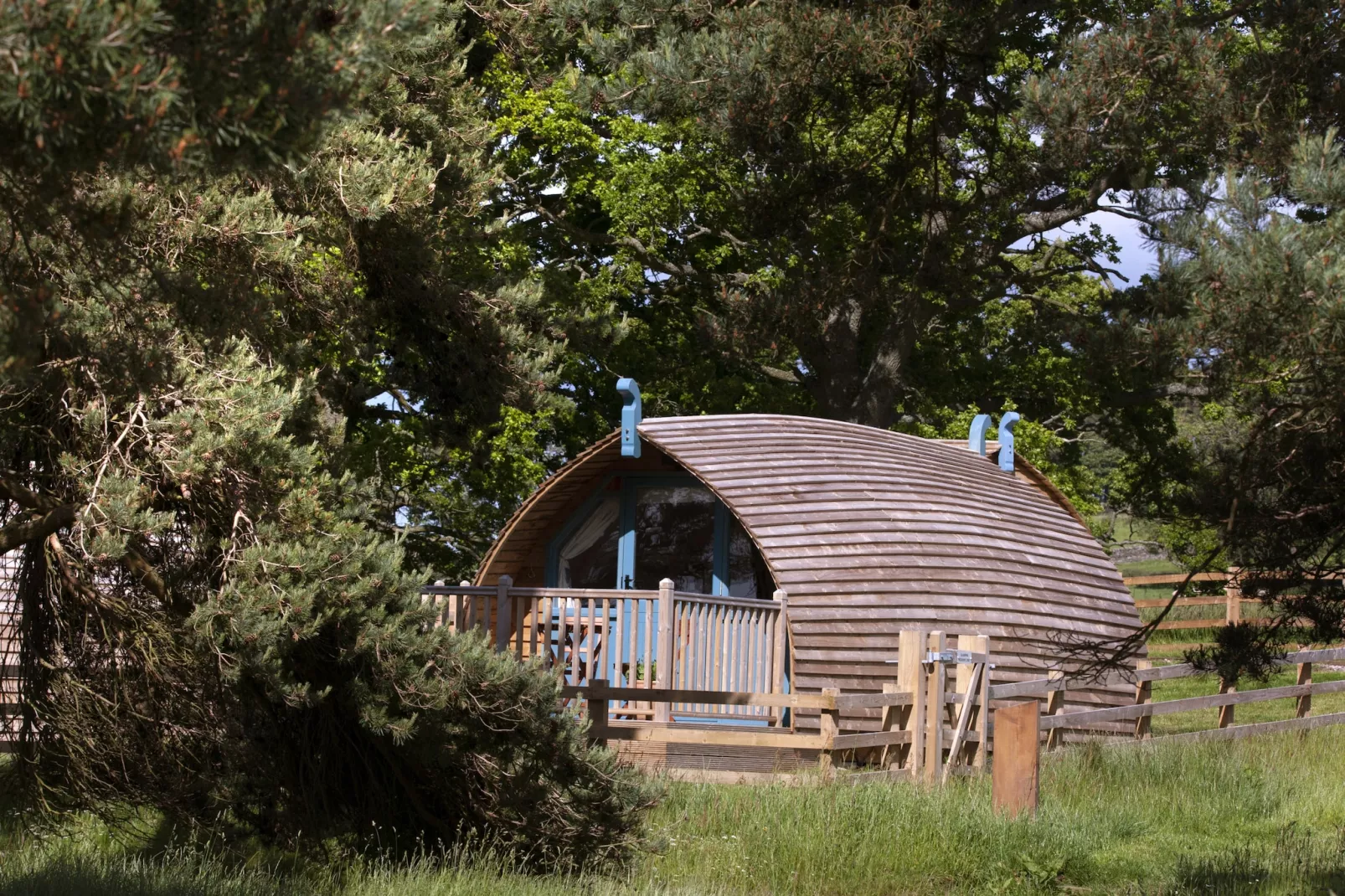The Wonney's Glamping-Exterior summer
