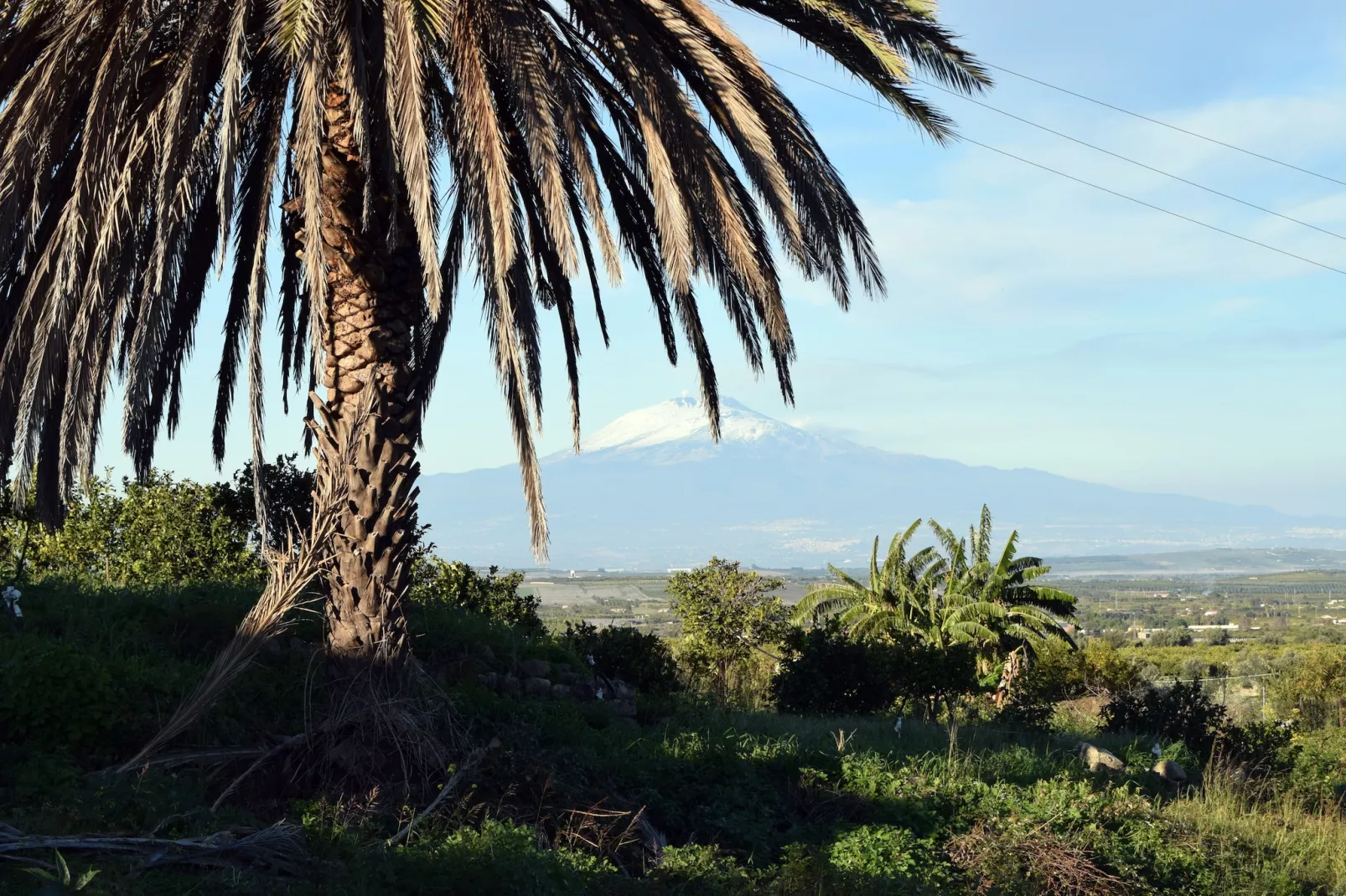 Villa Francofonte-View summer