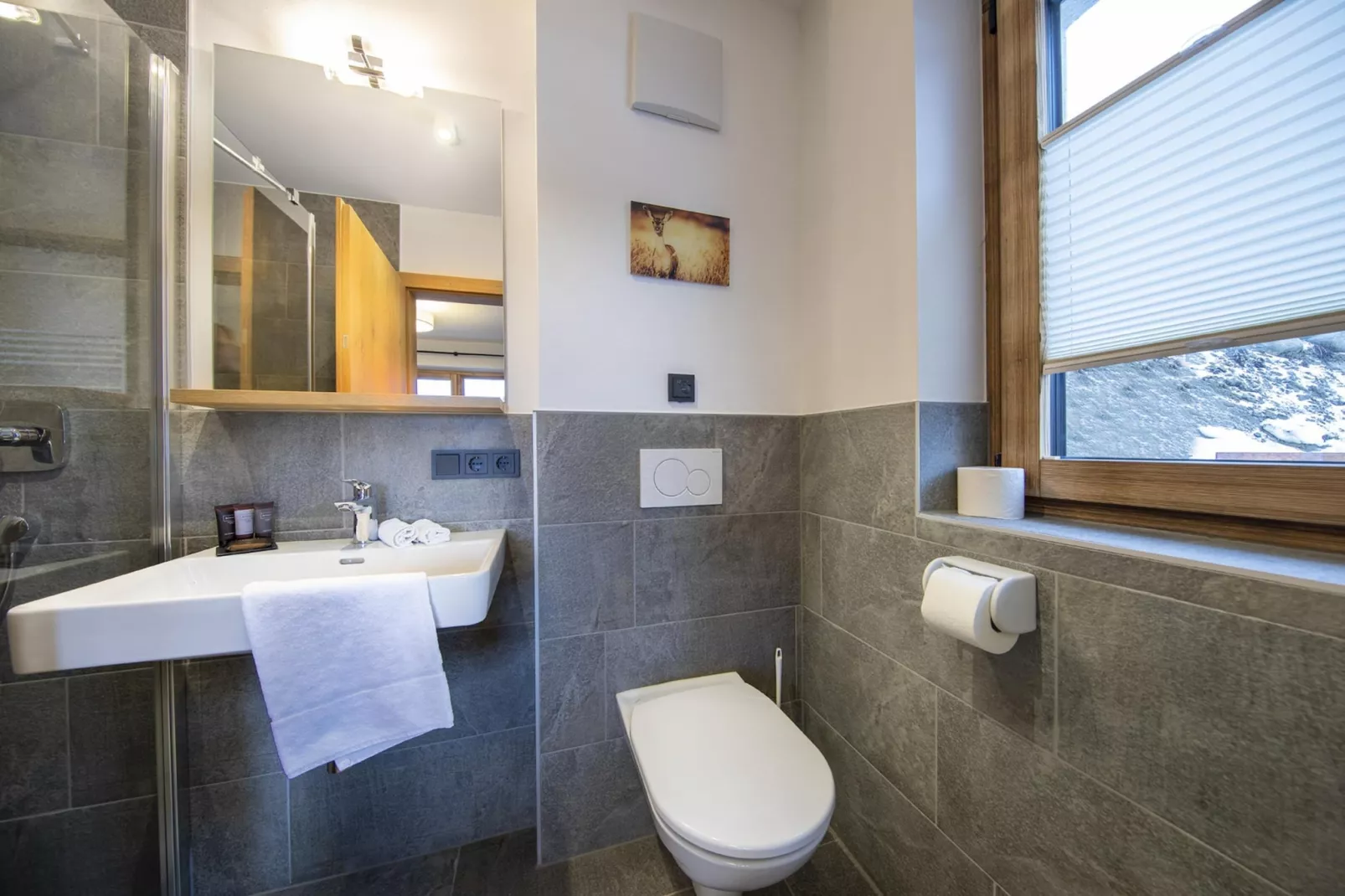 Nationalpark Chalet Blindis-Bathroom