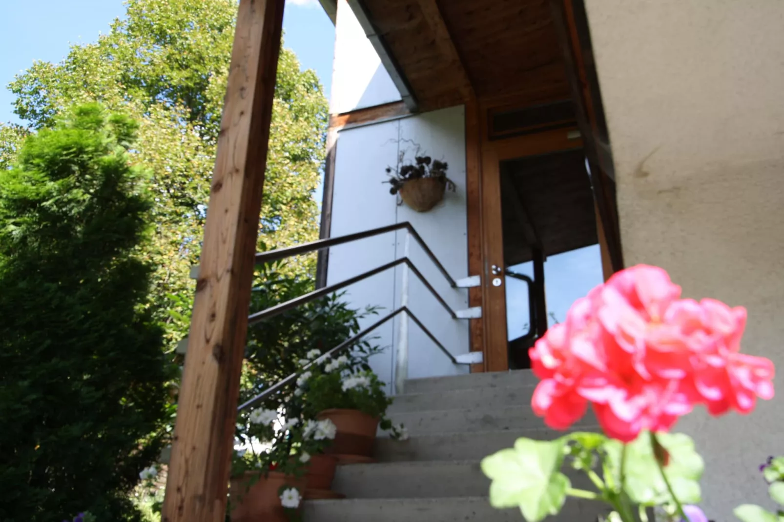 House Dual2 4apartments 5adult-Extérieur été
