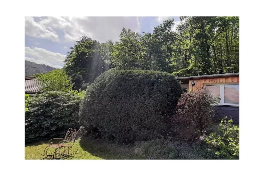 205672-Nicht getaggt
