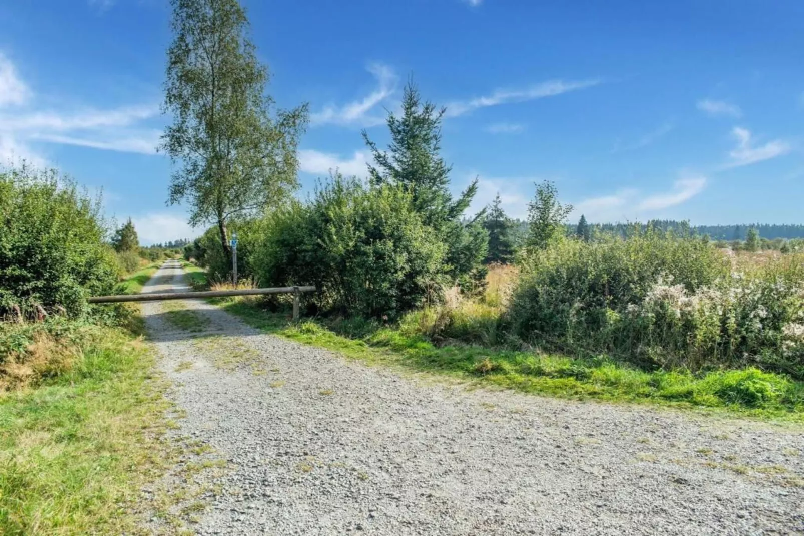 Les Mesanges-Areas summer 20km