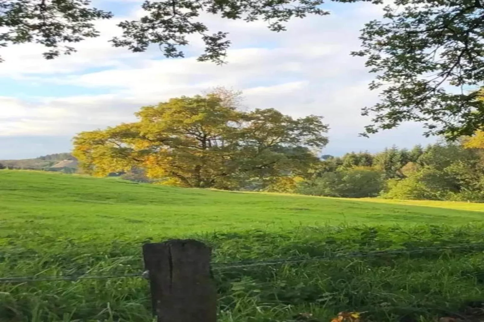 Au Vieux Hêtre-Zones d'été à 20 km