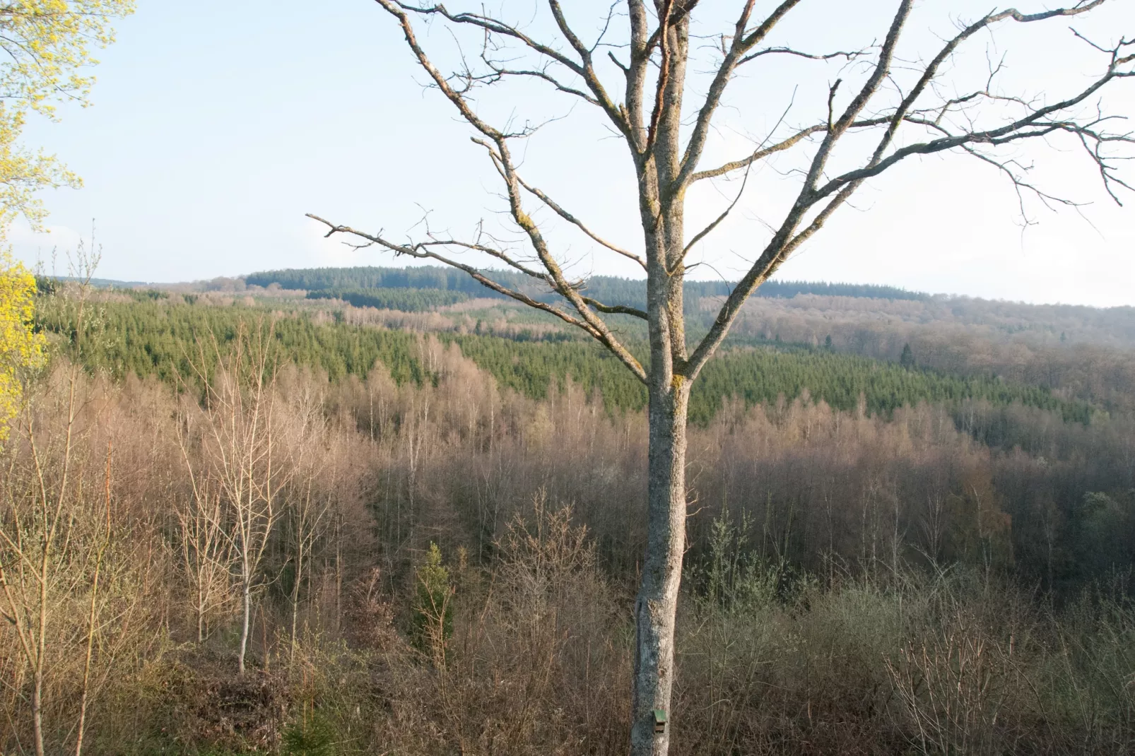 Le Trou du Loup-Aussicht Winter