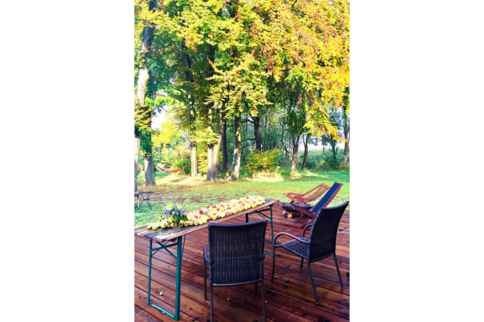 Landlust pur 1-Balcon-terrasse