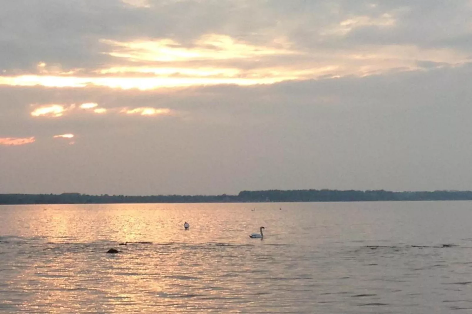 Bernsteinring Z1B-Gebiete Sommer 20 km