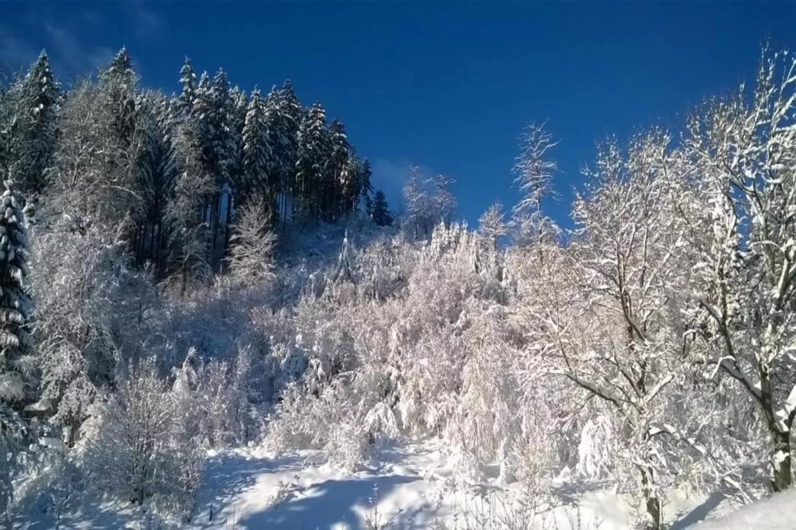 Haus Tori-Gebiet Winter 20 km