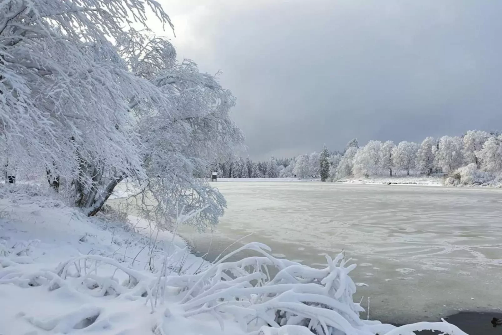 Wernigerode-Area winter 20km