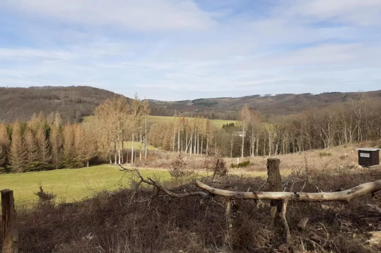 Im Westerwald-Areas within 20km in summer