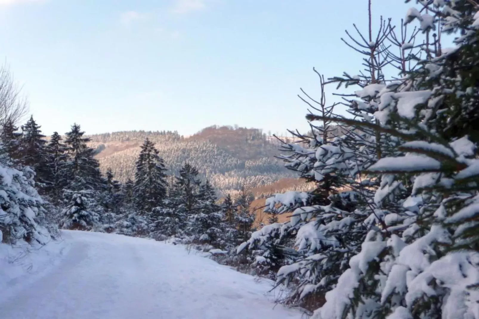Eslohe-Zones hiver à 20 km