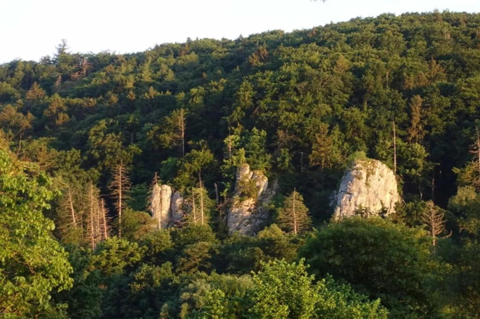 Im Altmühltal-Areas summer 20km