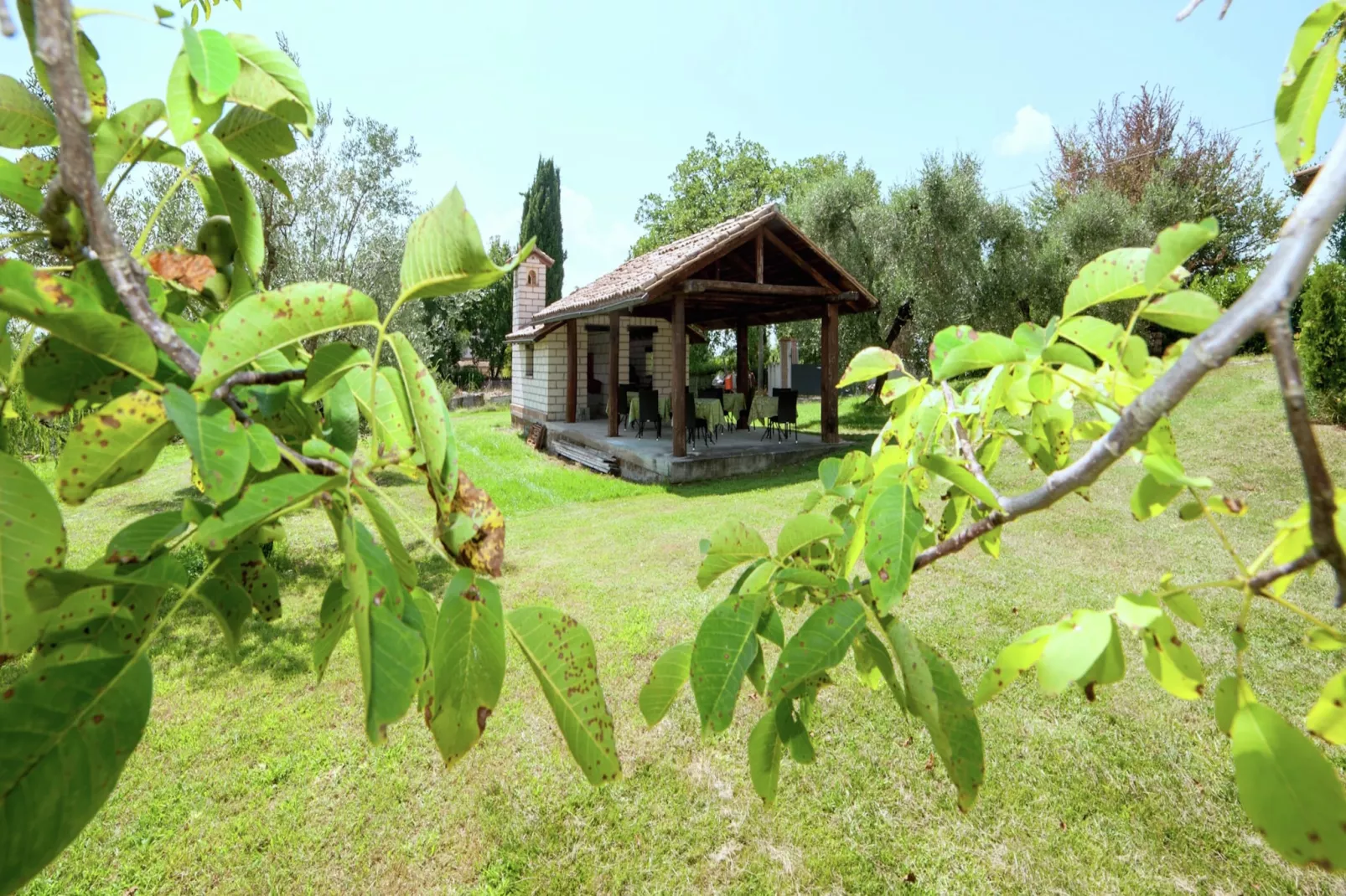 Ulivo-Gardens summer