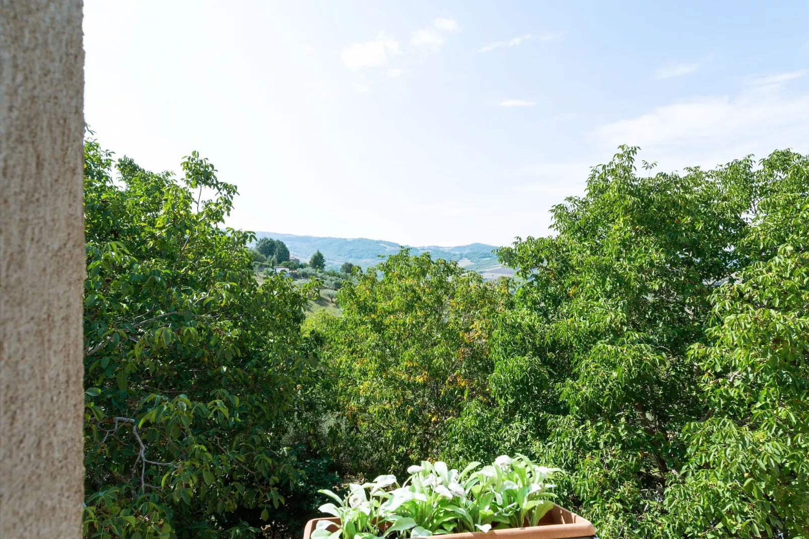 Oleandro 1-View summer