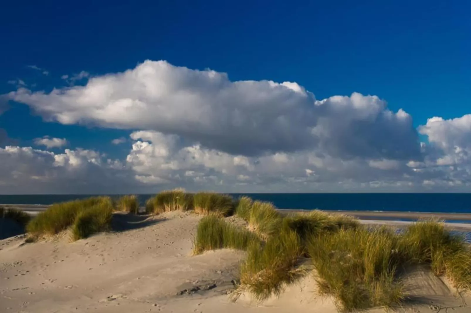 Fort den Haak - Chalet 1 tm 15  hond-Areas summer 5km