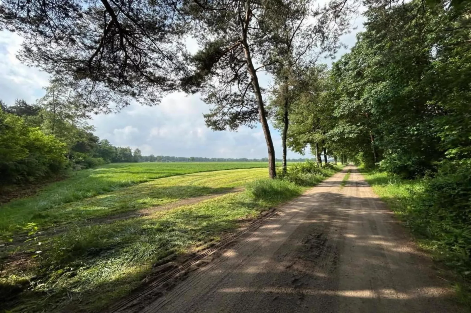 Het Kruisselt-Gebiete Sommer 20 km