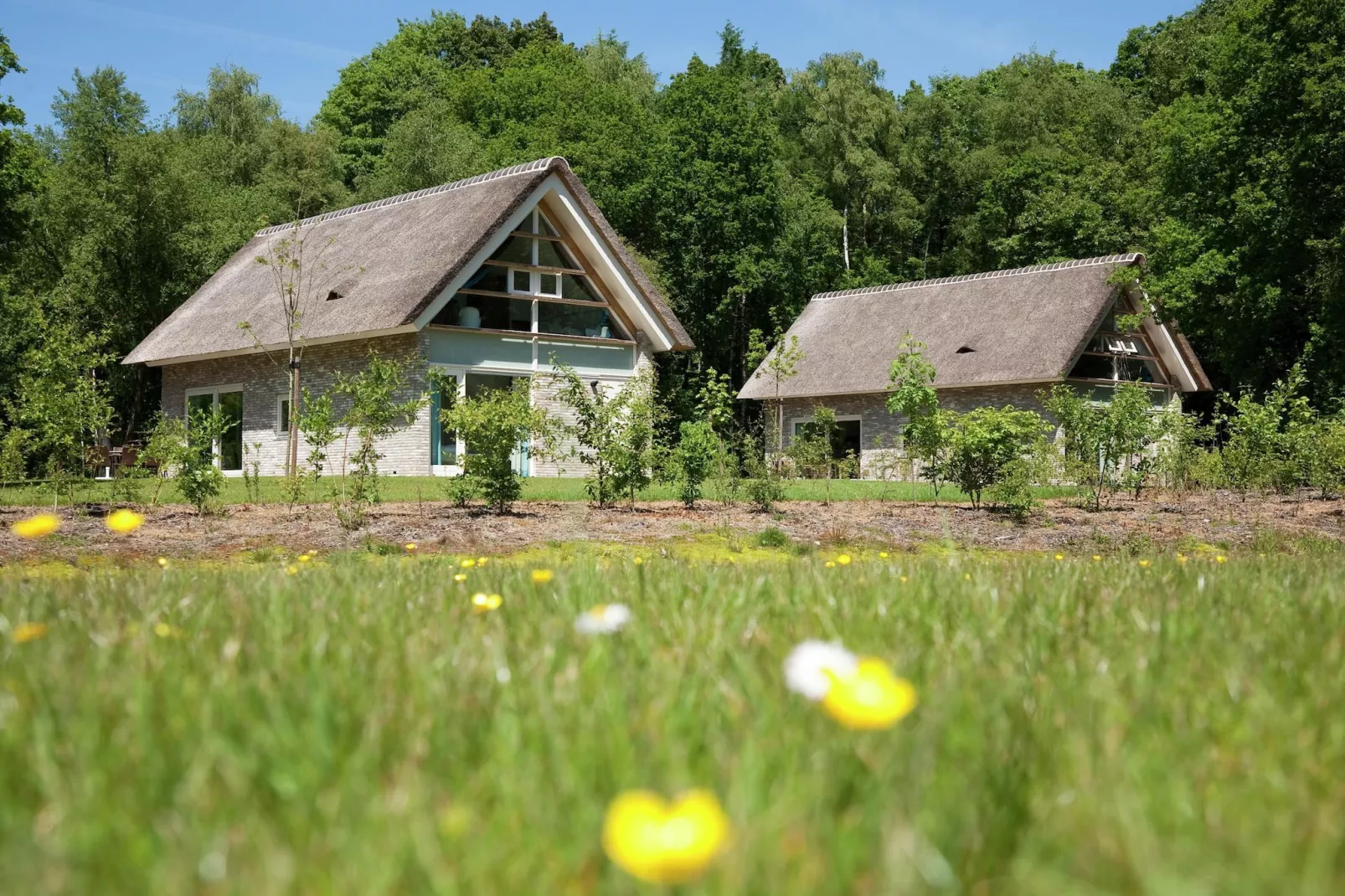 Marke van Ruinen 2-Exterior summer
