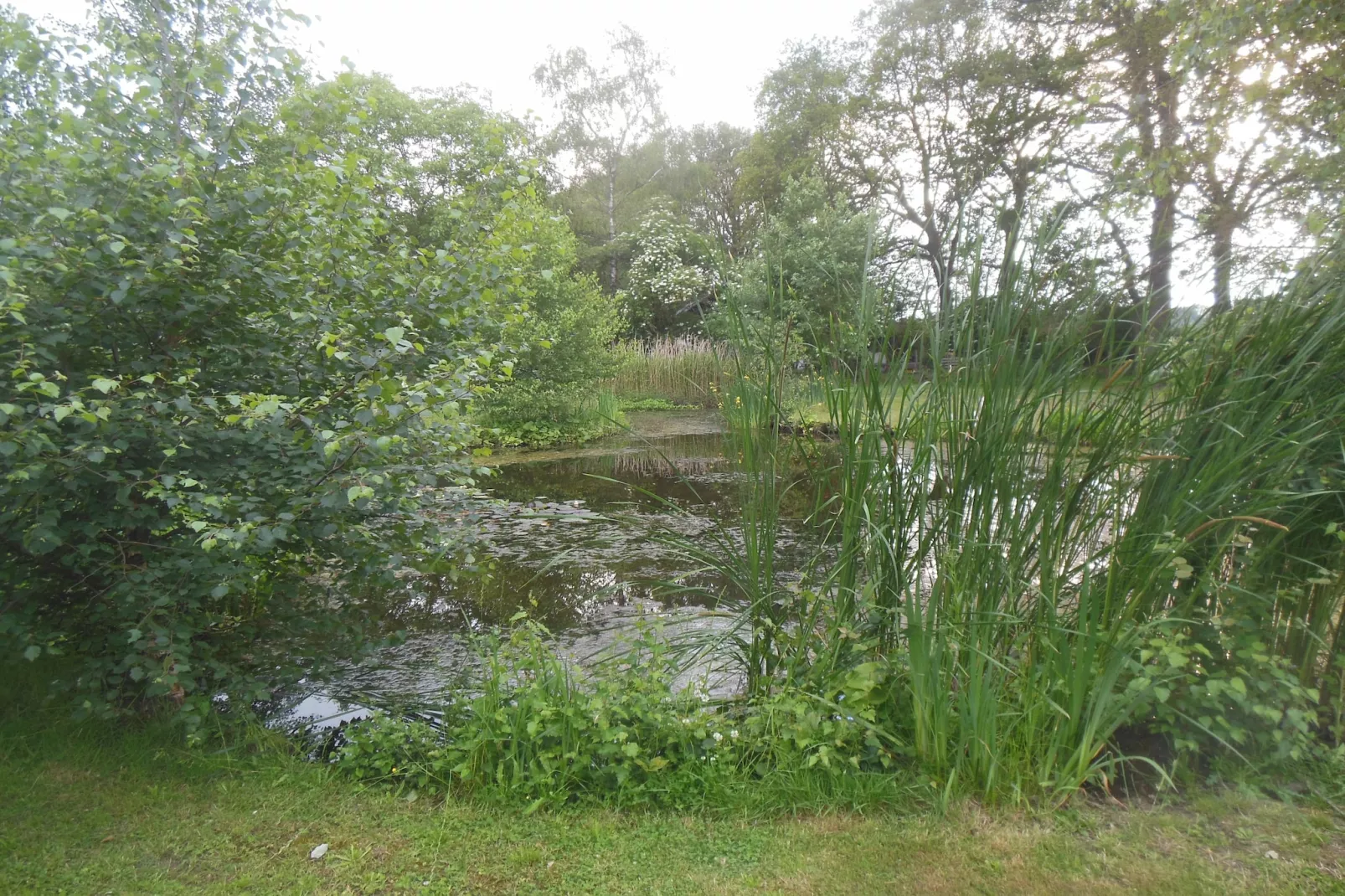 Villa Luttenberg-Gardens summer