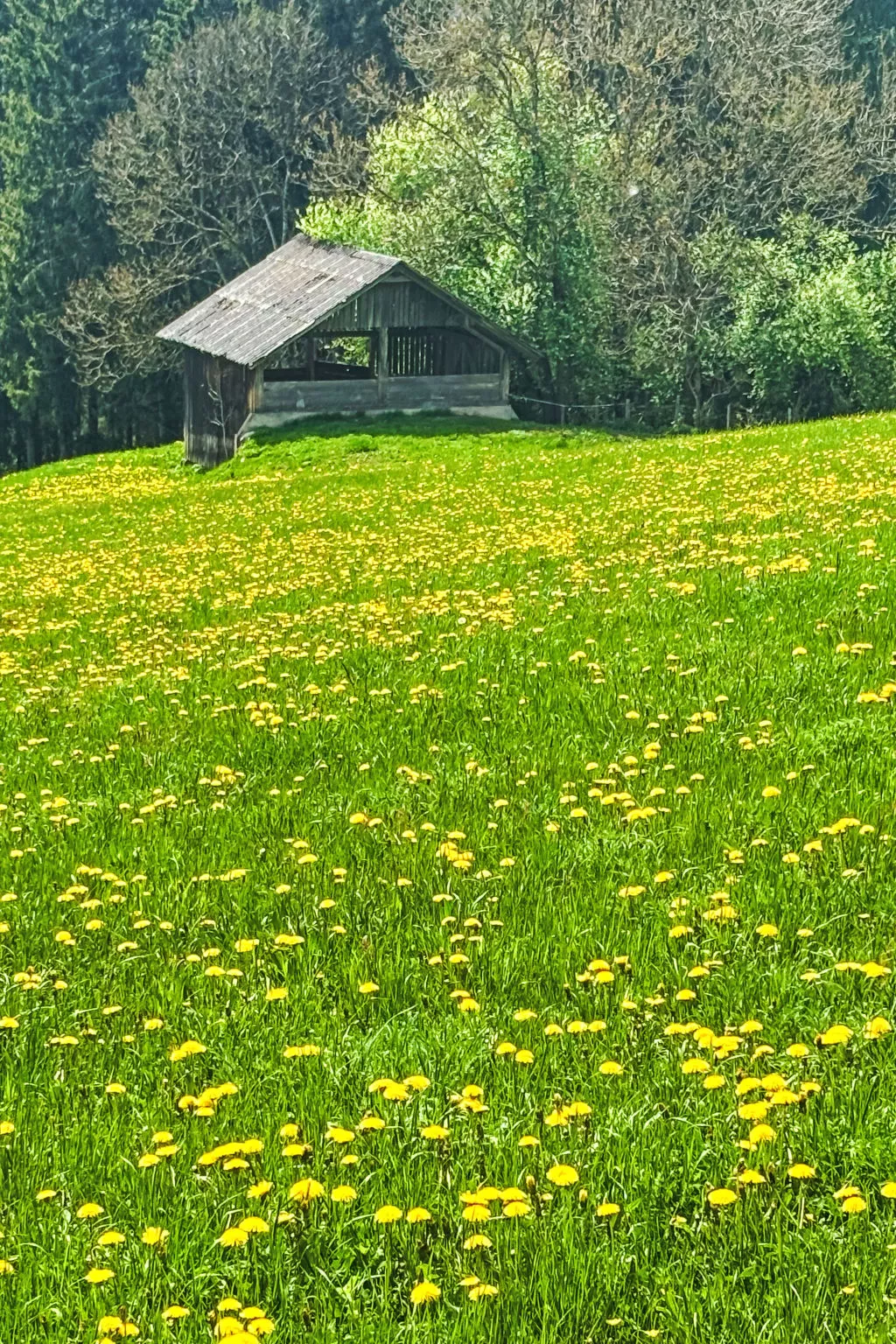 Salzmannhof-Outside