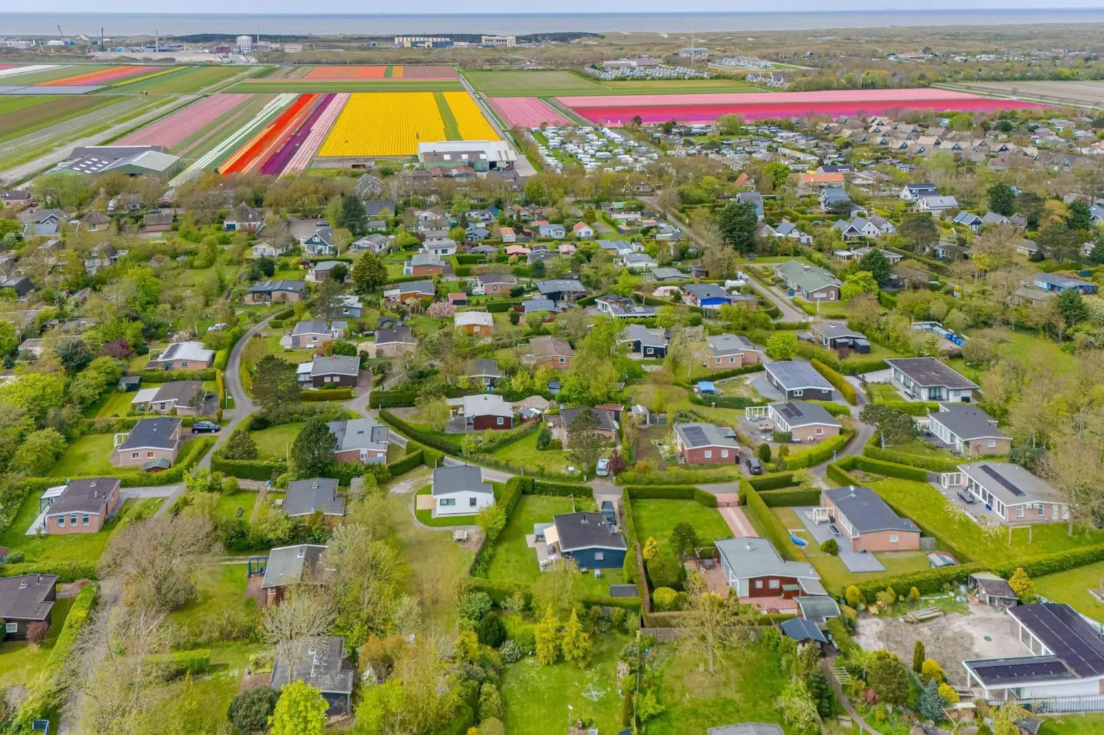 Eureka 36-Areas summer 5km