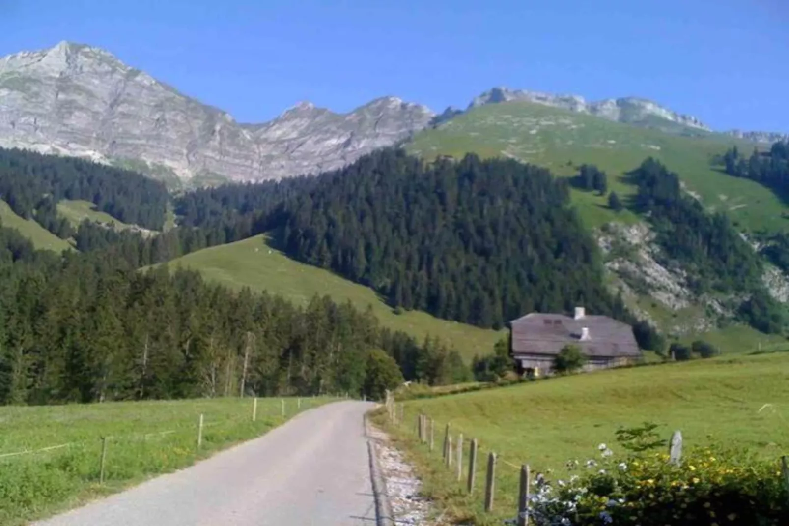 Beautiful Modern Chalet in the Gstaad Region-Gebiet Winter 5 km