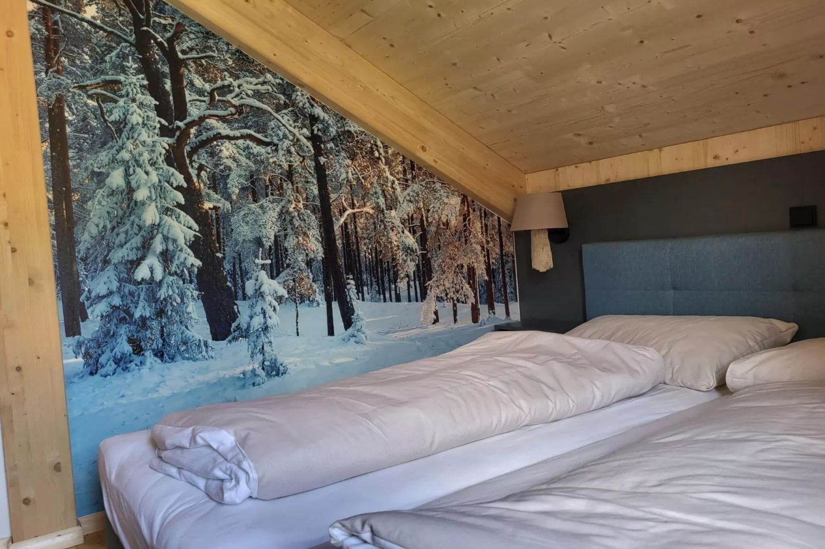 Kreischberg Chalets 50-Bedroom