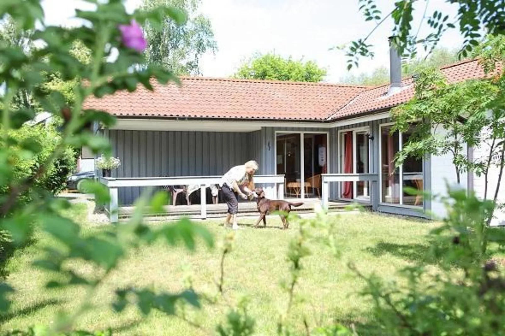 Reiher 24-Exterior summer