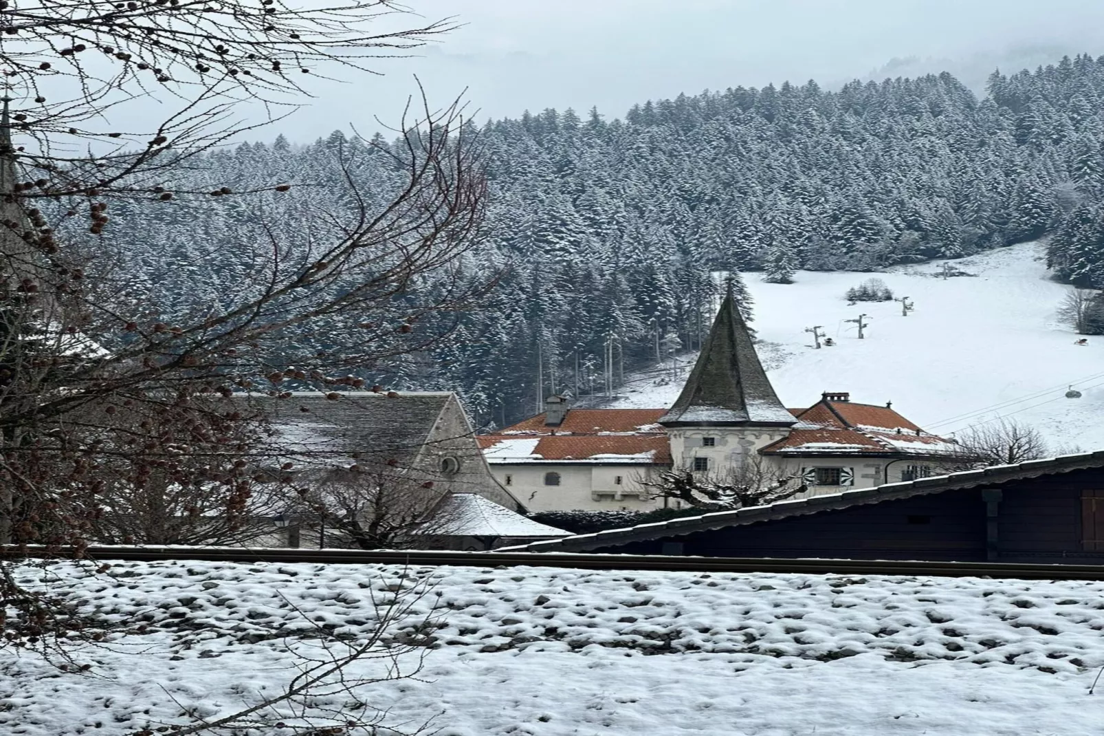 Le Petite Chalet-View winter