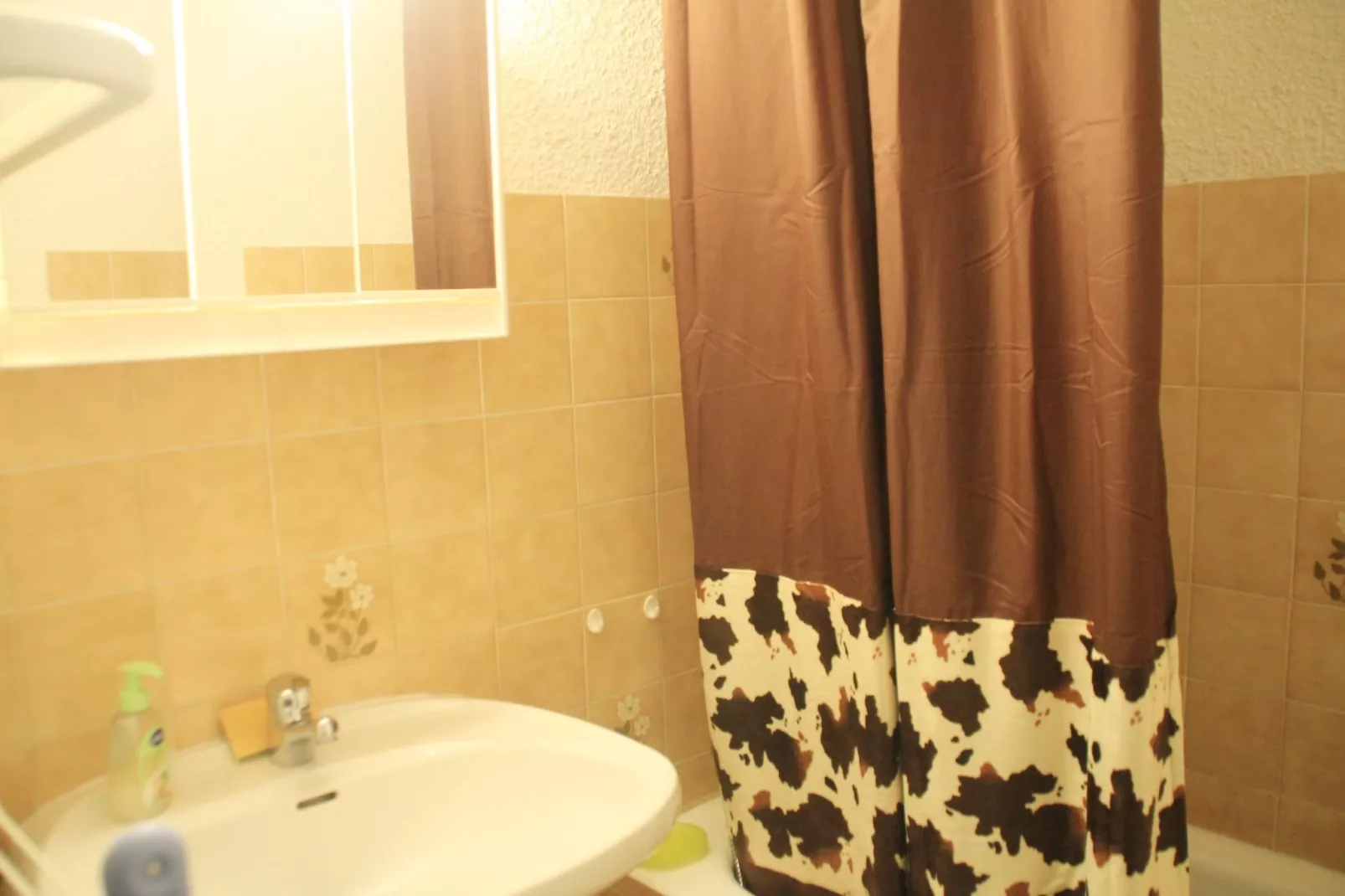 Alpenlake AP120 VIEW & NATURE 5 pers.-Bathroom