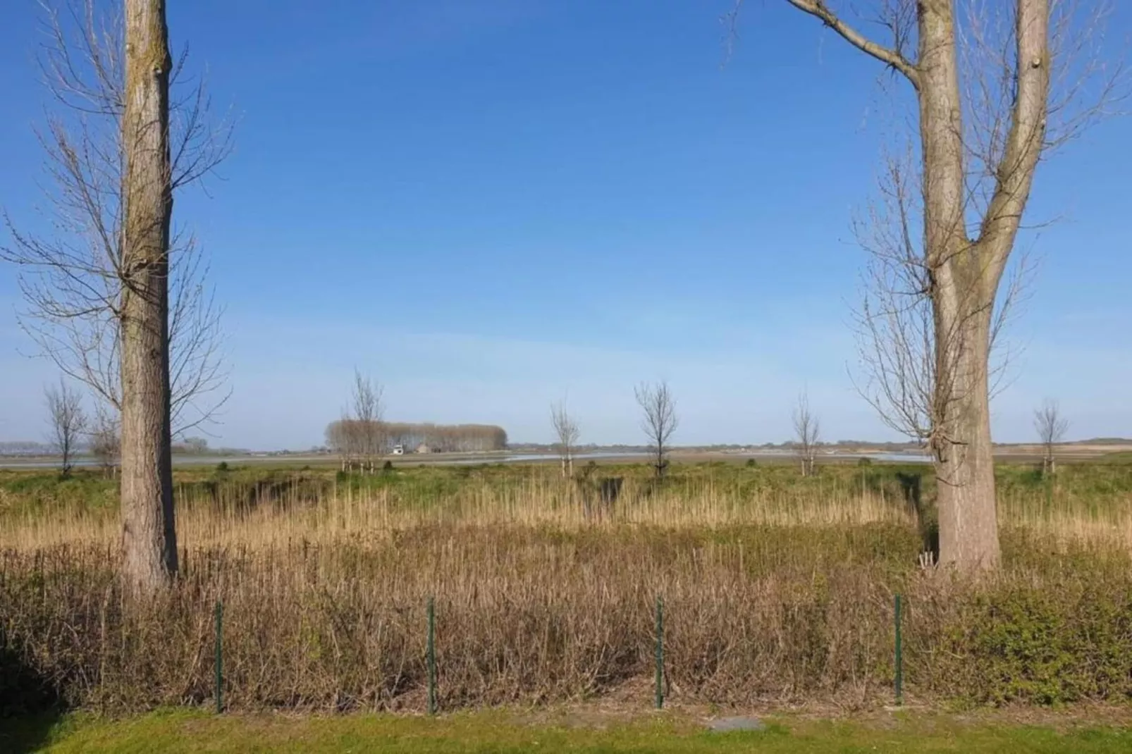 Het Platte Putje - Huisdier - nr 2-Areas summer 20km