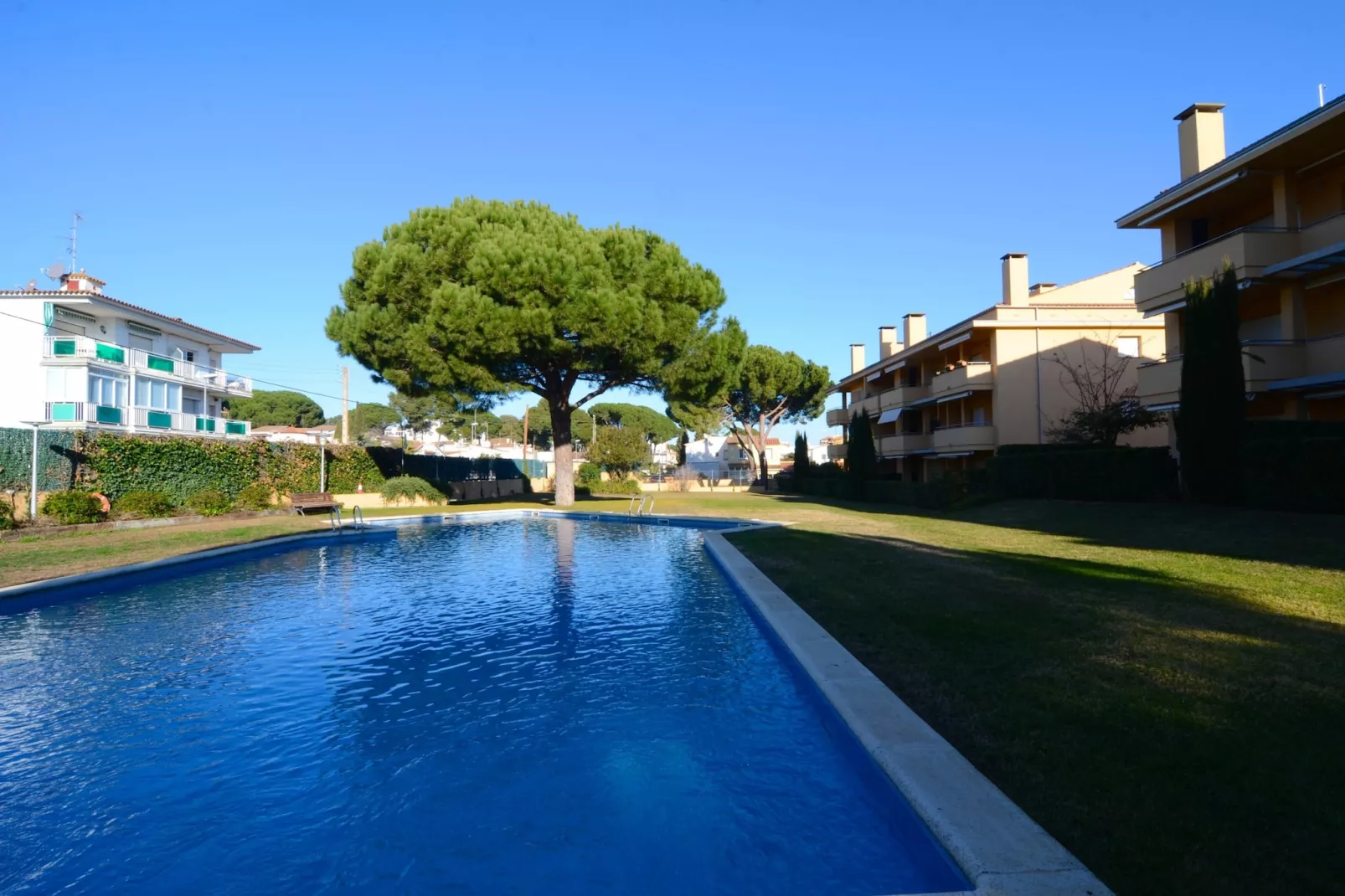 RIELLS BLAU E 202-Pool