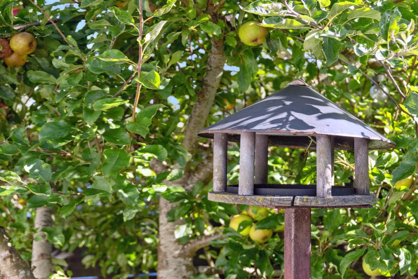 4 etoiles maison de vacances a Børkop-Extérieur