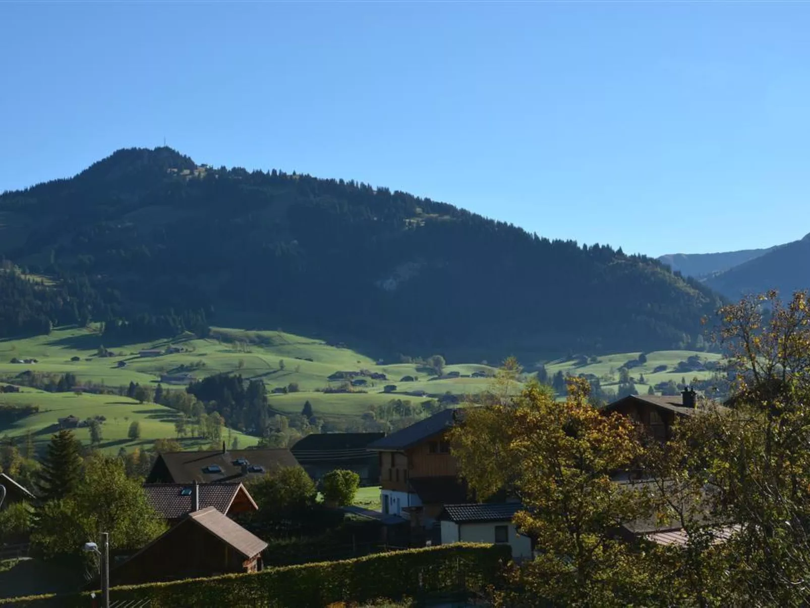 Hornflue (Baumann)-Draußen
