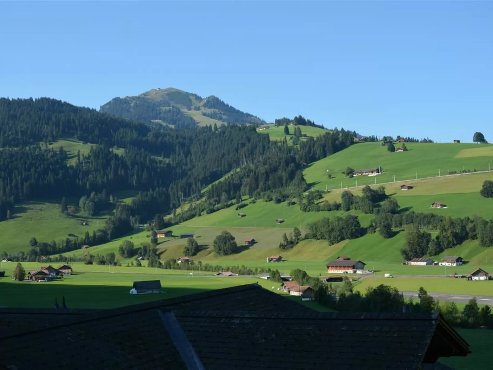 Eichhorn-Outside