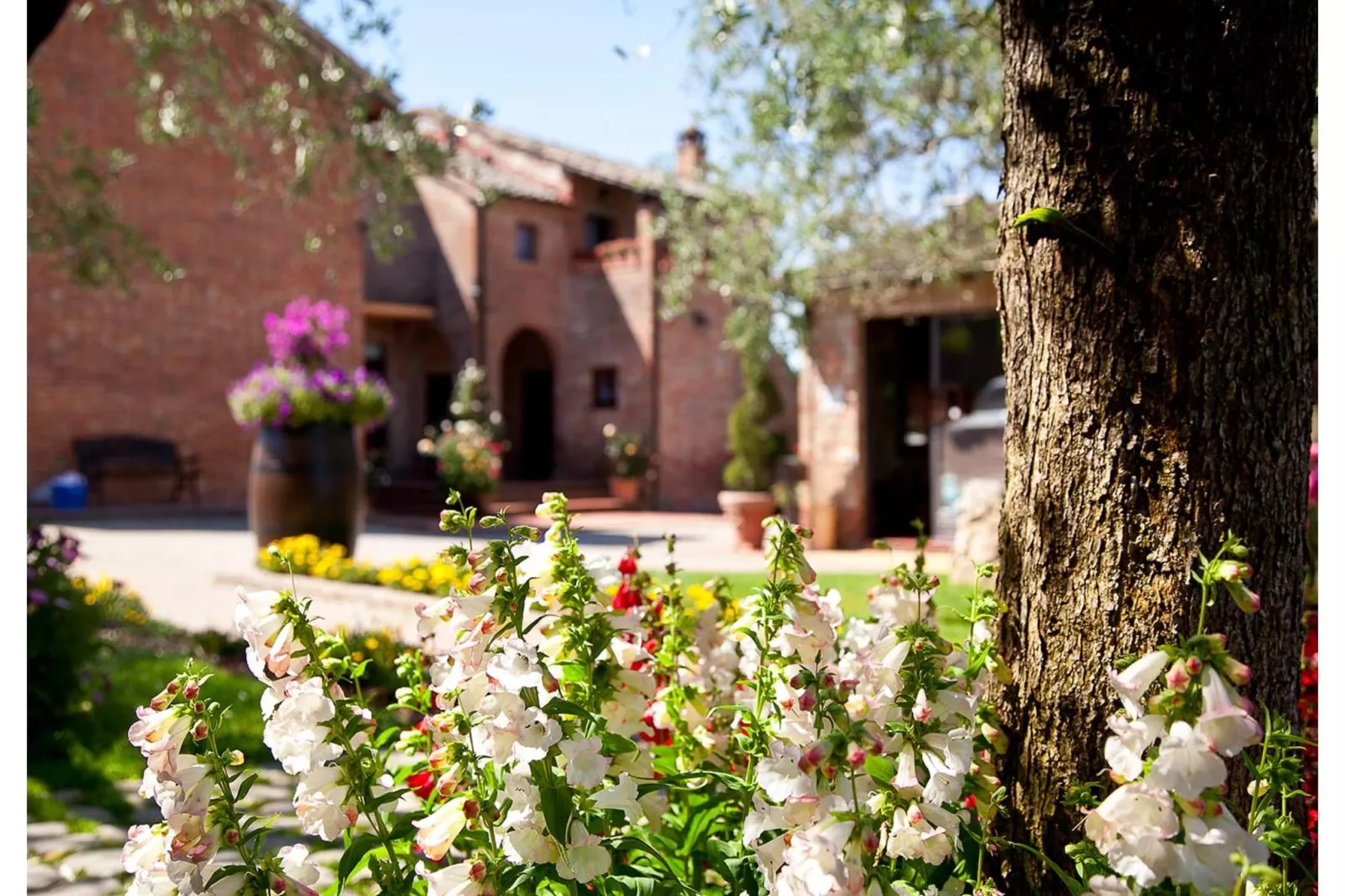 RESIDENCE BORGO TRE ROSE - Apartment TYPE B-Exterior summer