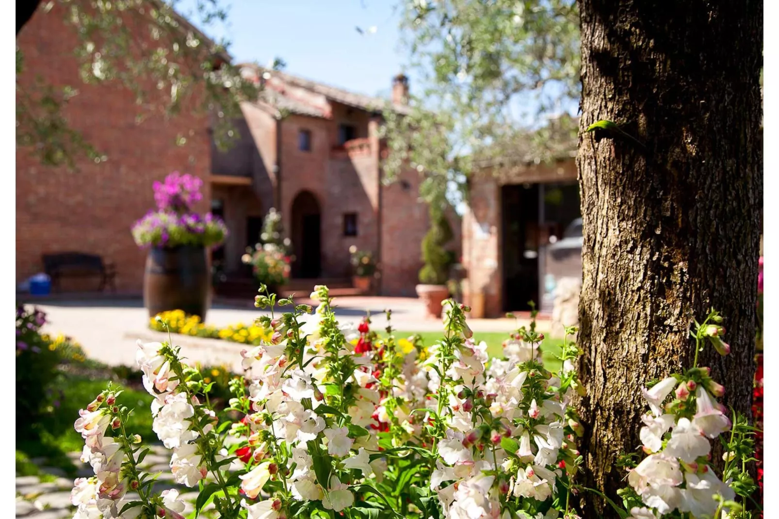 RESIDENCE BORGO TRE ROSE - Apartment TYPE A-Exterior summer