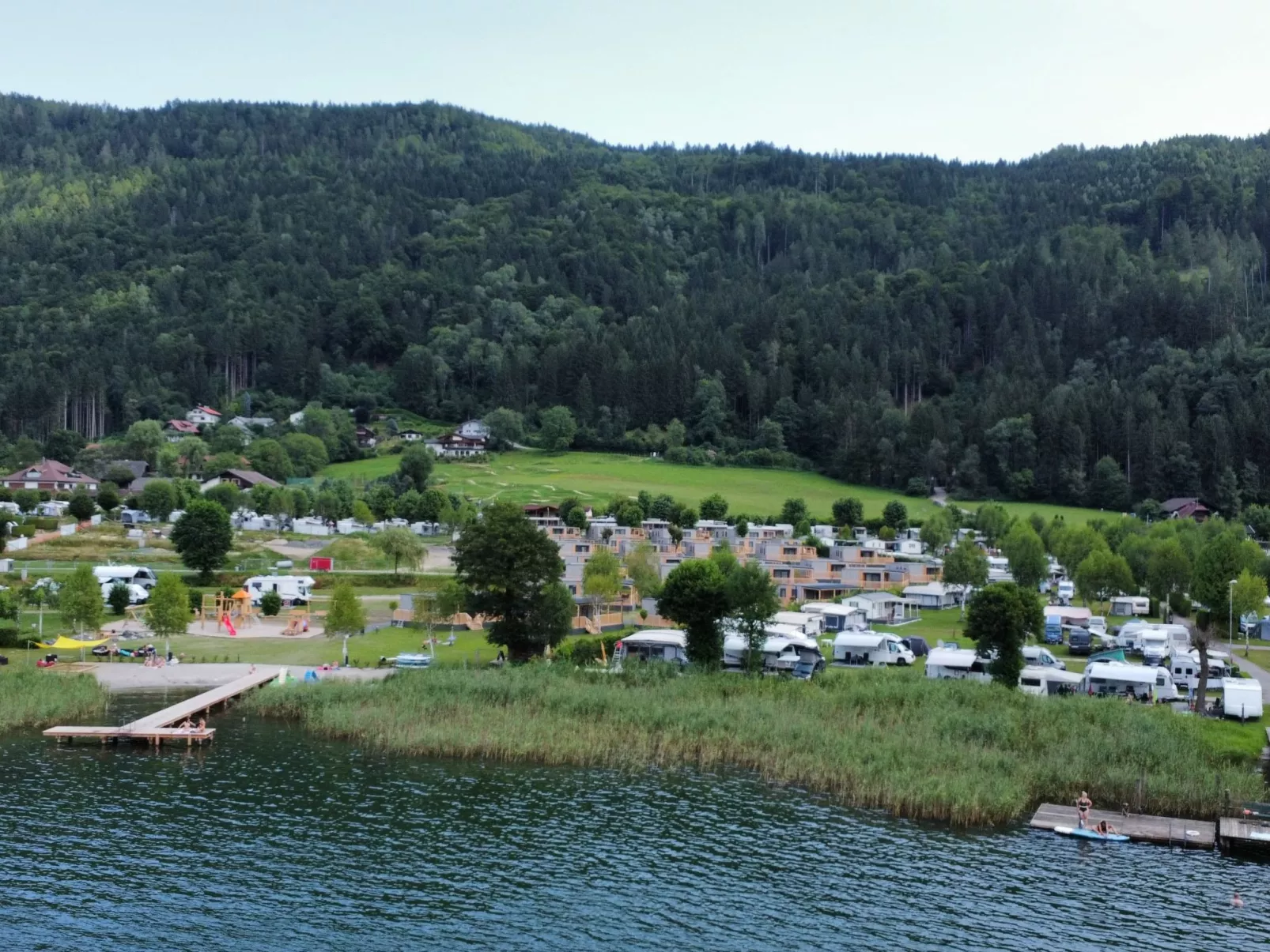 Wulfenia 6-Draußen
