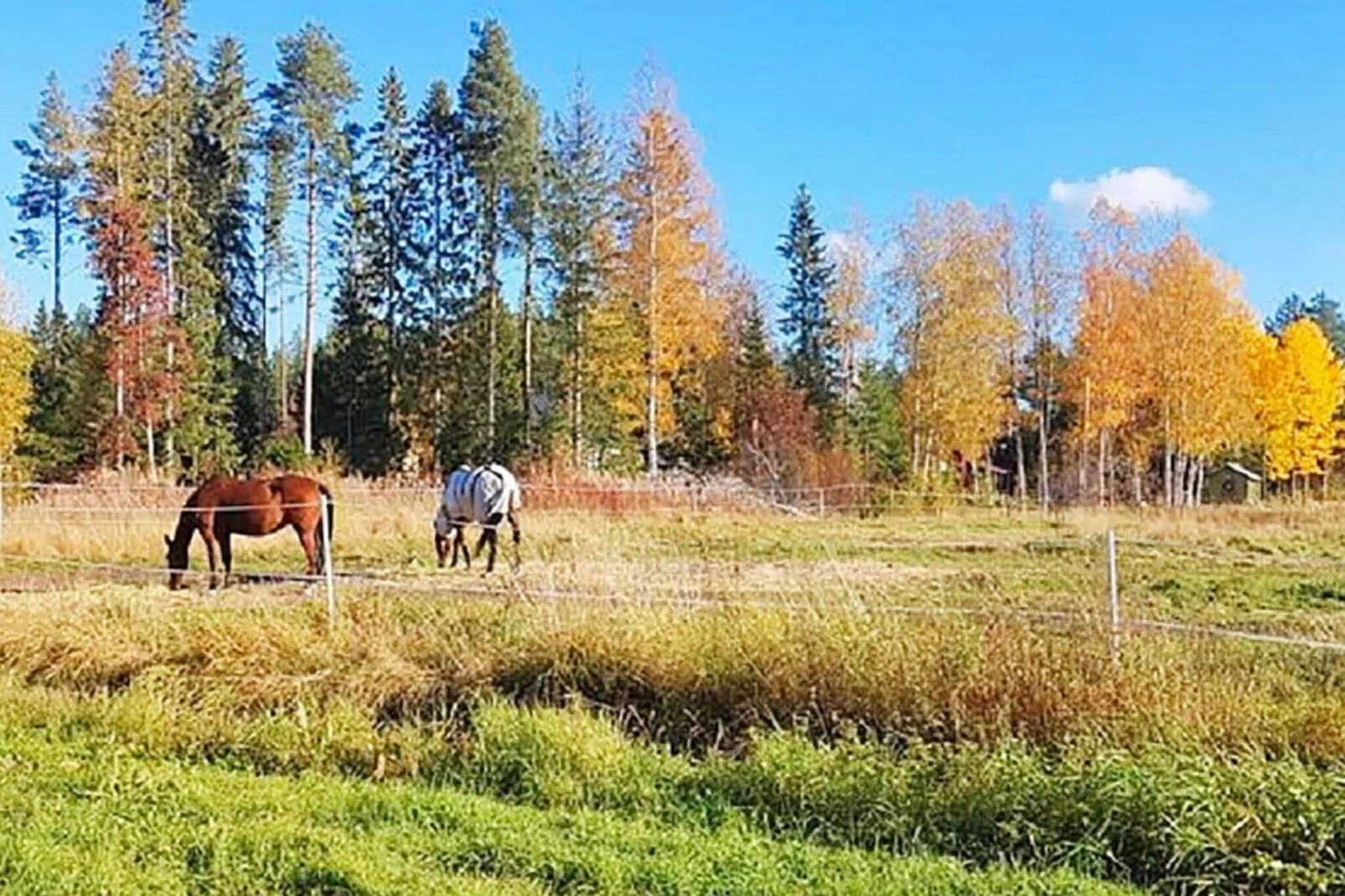 8 person holiday home in Bureå-By Traum
