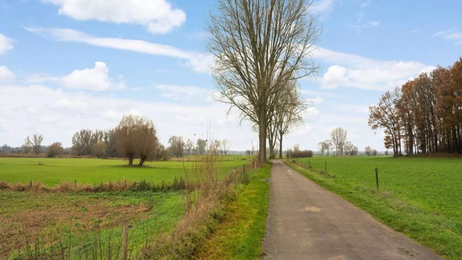 Hoevendeel-Gebiete Sommer 5 km