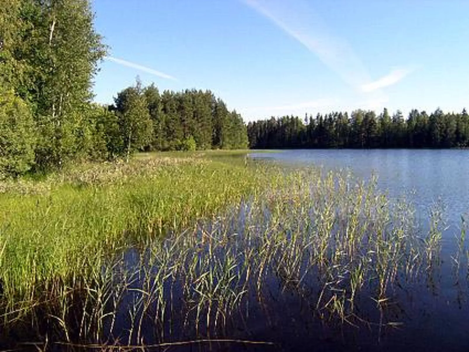 Pikku-villa-Dehors