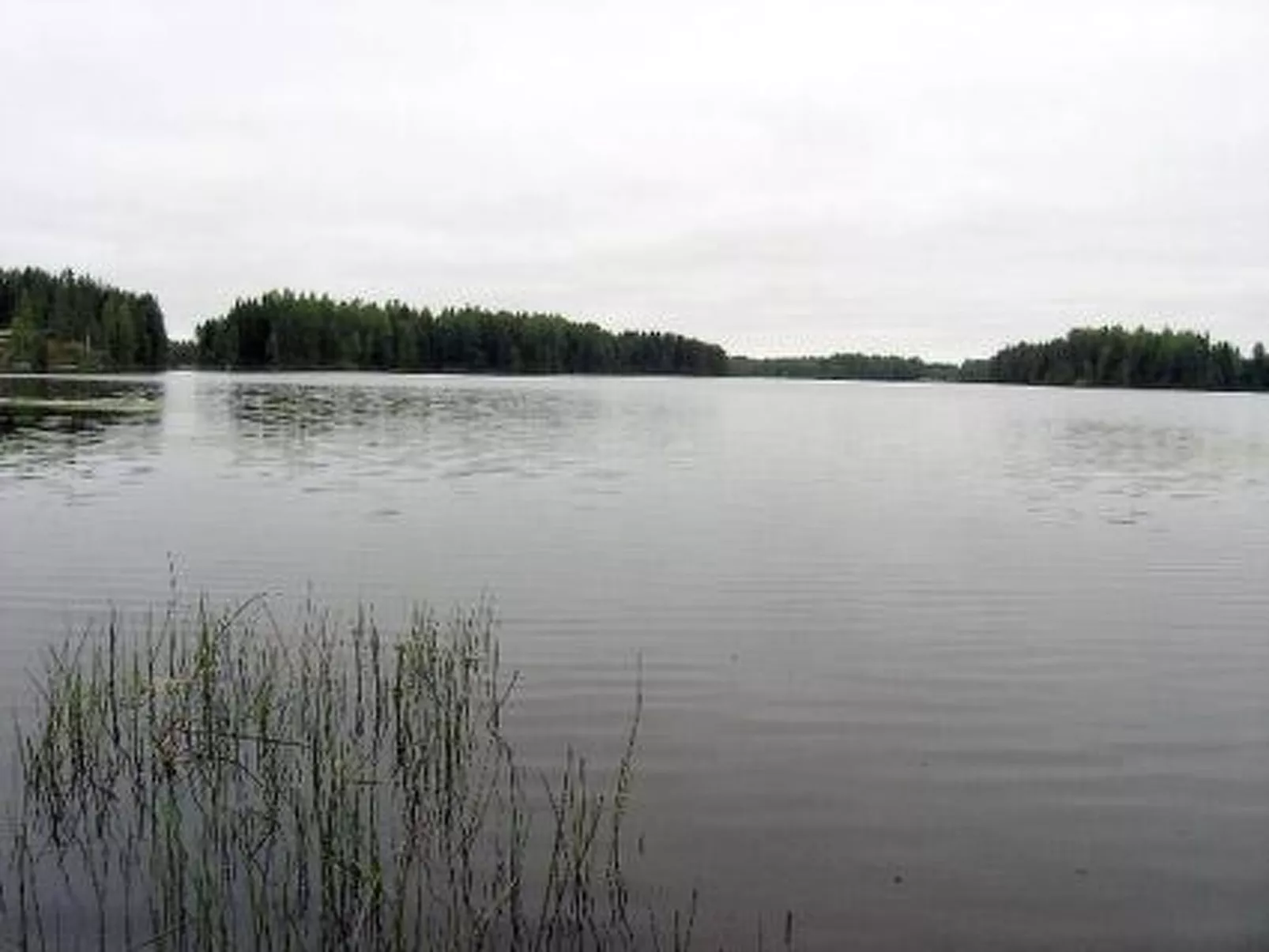 Kärkelä-Outside