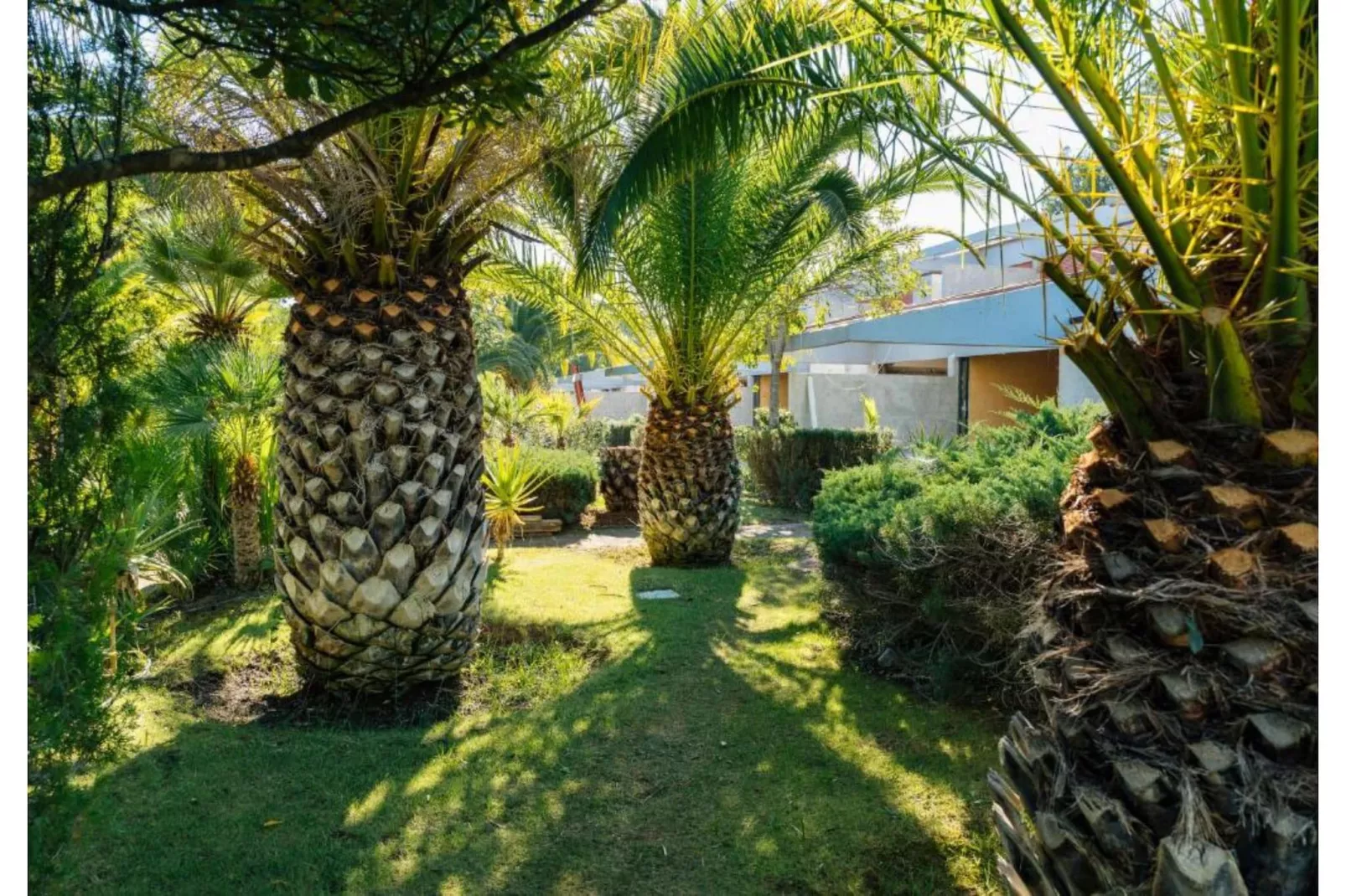 Residence Park Solemaremma 2-Zi-App Classic A BK/TE 30 qm-Gardens summer