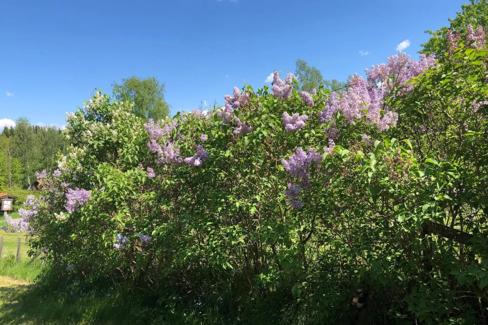 4 person holiday home in Södertälje-By Traum-Not tagged