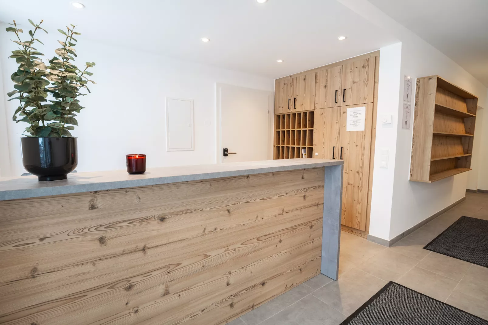Penthouse Three-bedroom Apartment – KA3P-Reception hall
