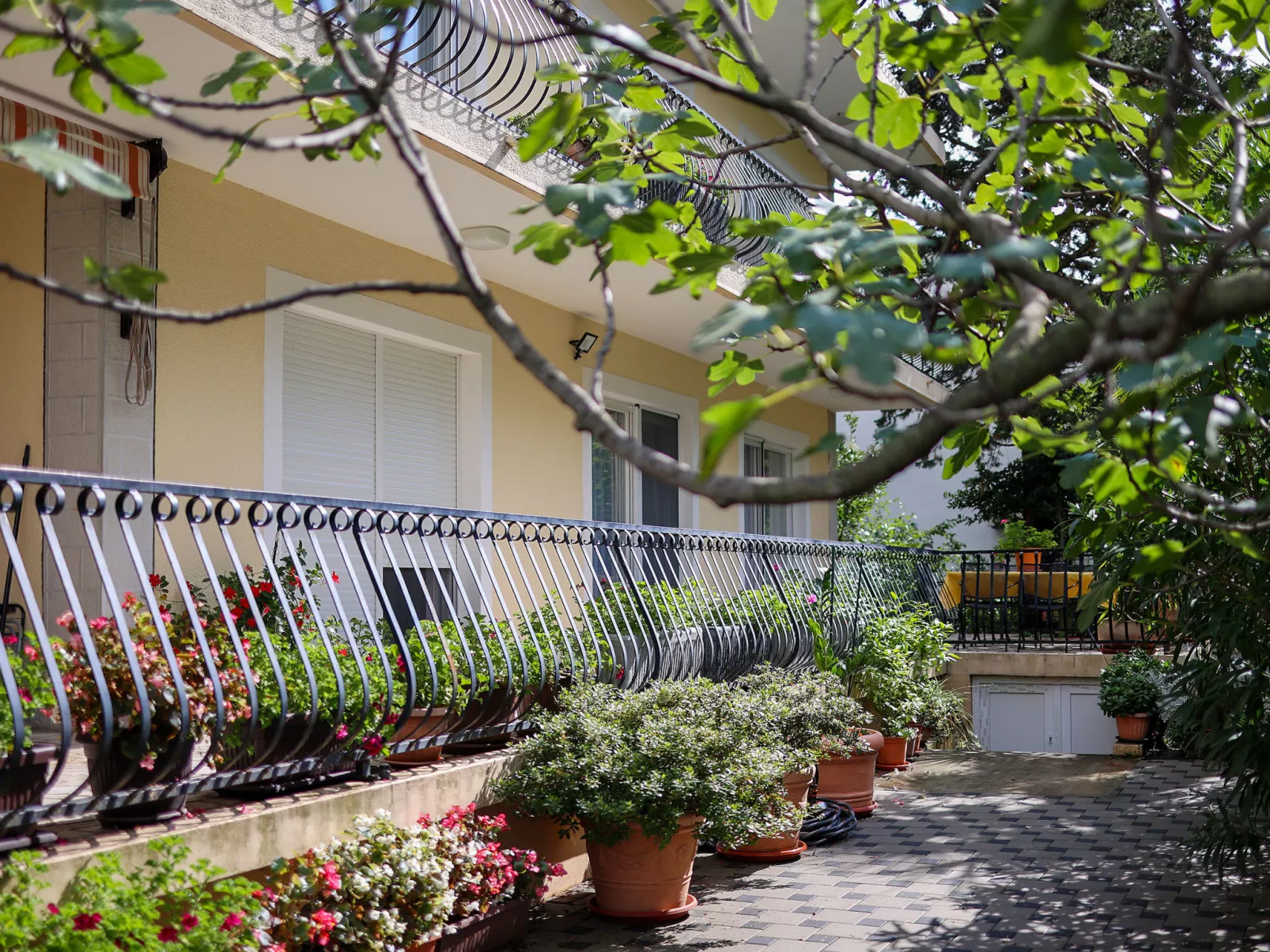 Apartmani Pintar-Outside