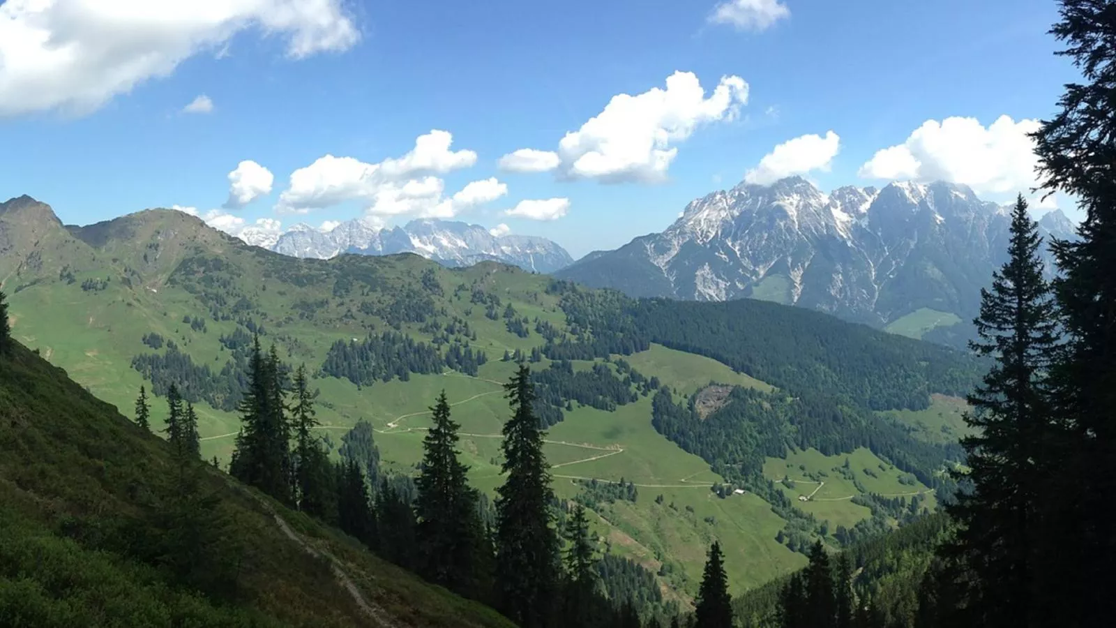 Bichlblick-Areas summer 20km