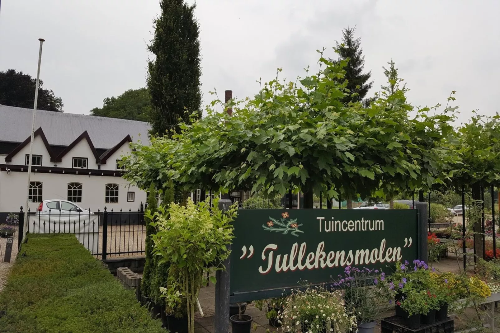 Chalet Meerkoet-Gebiete Sommer 1 km